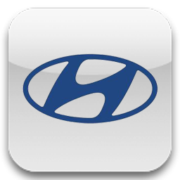 Hyundai original